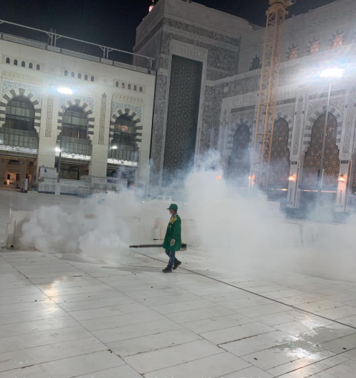 499439-3 بالصور مكافحة الصراصير والحشرات في مكة منها حشرة الجنادب