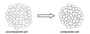 اضغط على الصورة لعرض أكبر

الاسم: loose_soil_to_dense_soil-300x114.jpg
الحجم: 10.7 كيلوبايت
رقم التعريف: 224720