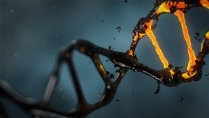 dna-1903875_1280-300x169 أهم أسباب الإصابة بمرض السرطان وطرق الوقاية منه